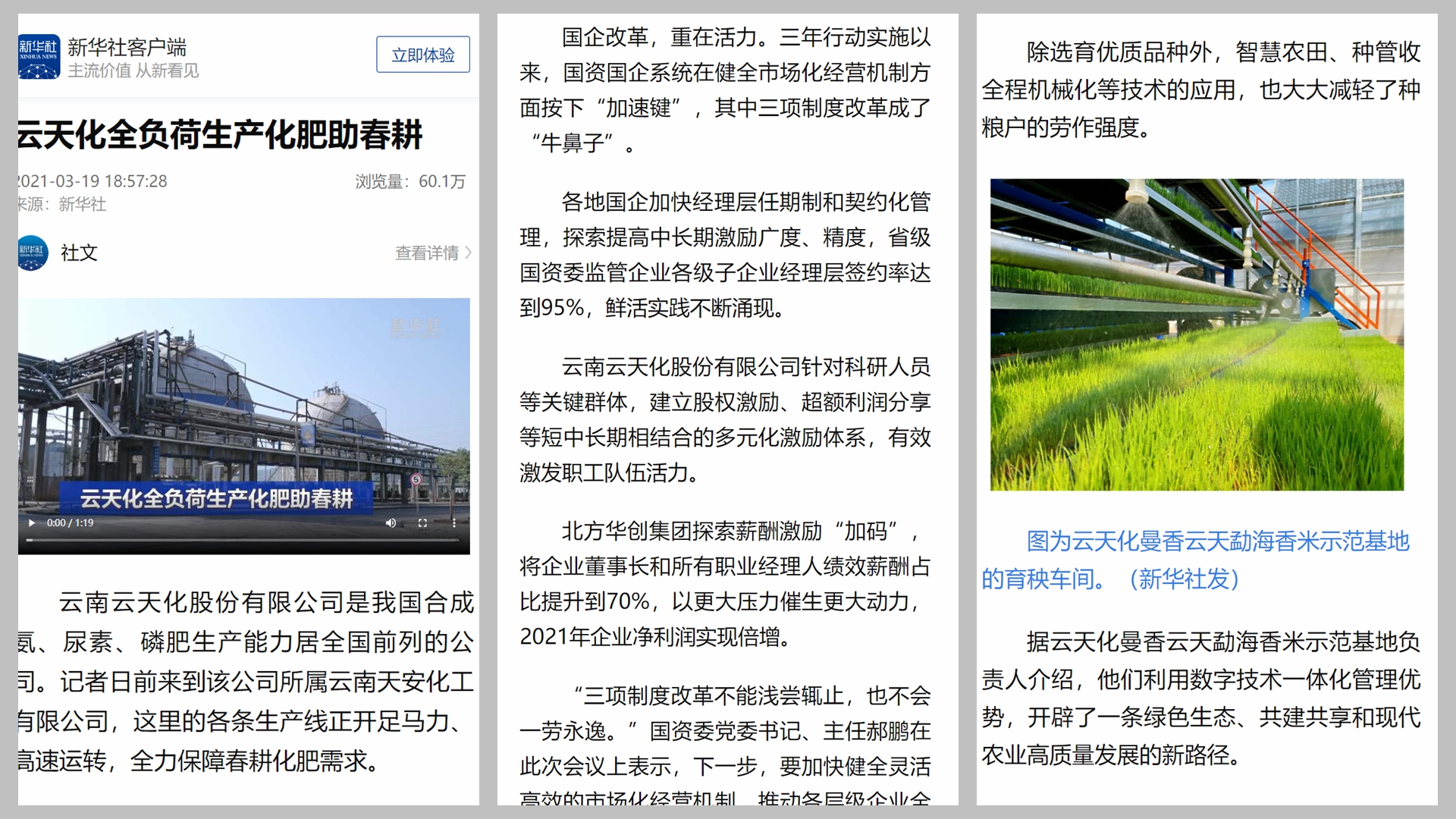 如何提升国企活力和效率？新华社以云天化作范例